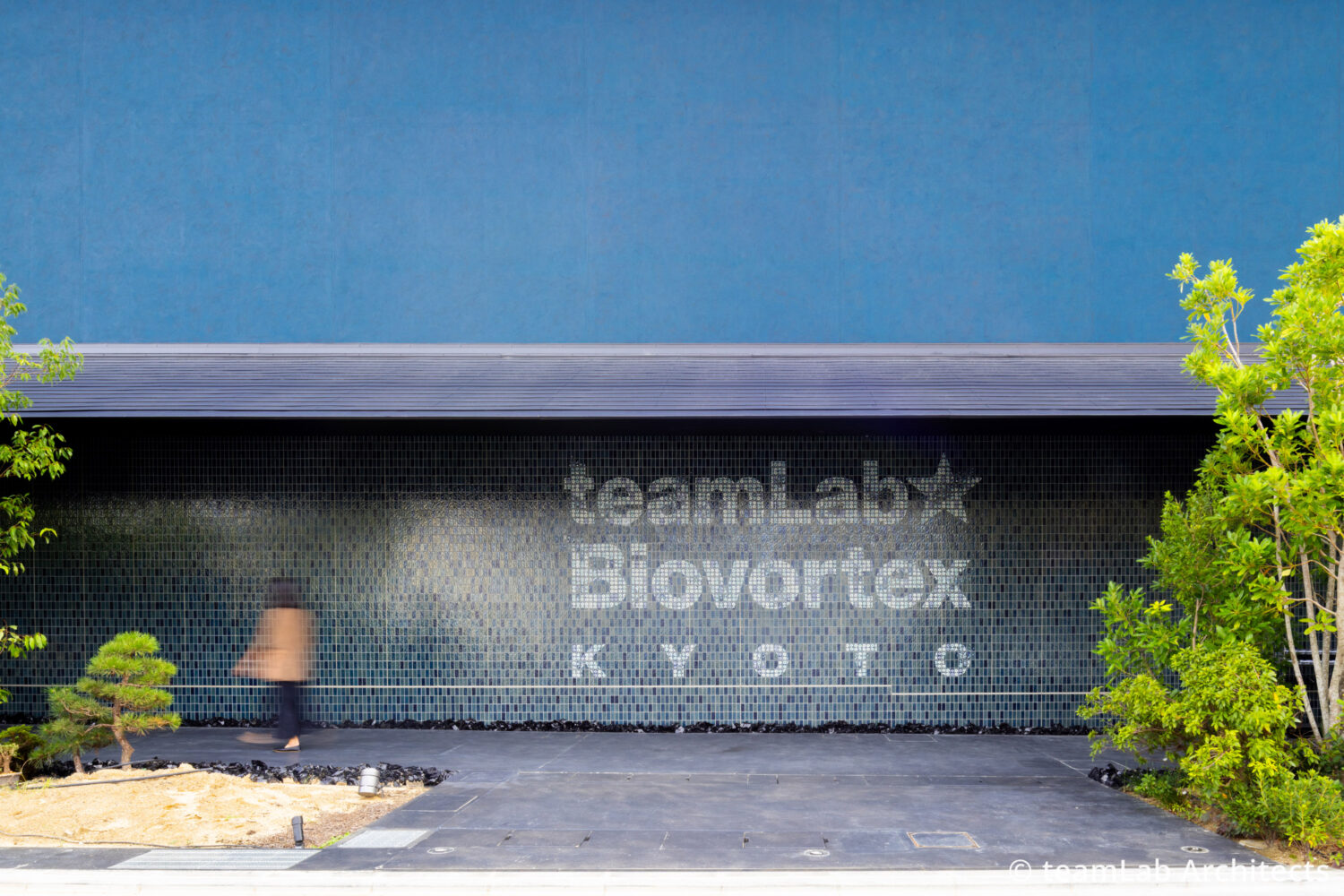 チームラボ バイオヴォルテックス 京都｜見どころ体験と所要時間回り方完全ガイド