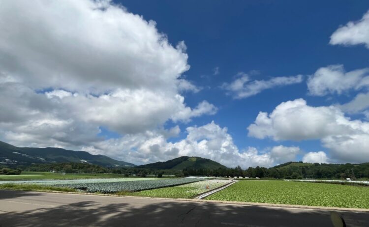標高約1300mの菅平高原‐斉藤健仁撮影