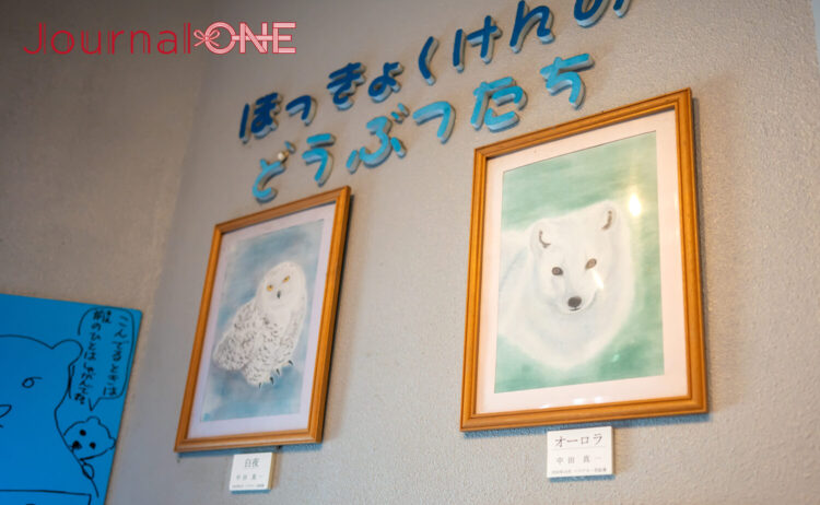 旭山動物園 園内には中田園長の水彩画が掲出されている-Journal-ONE撮影