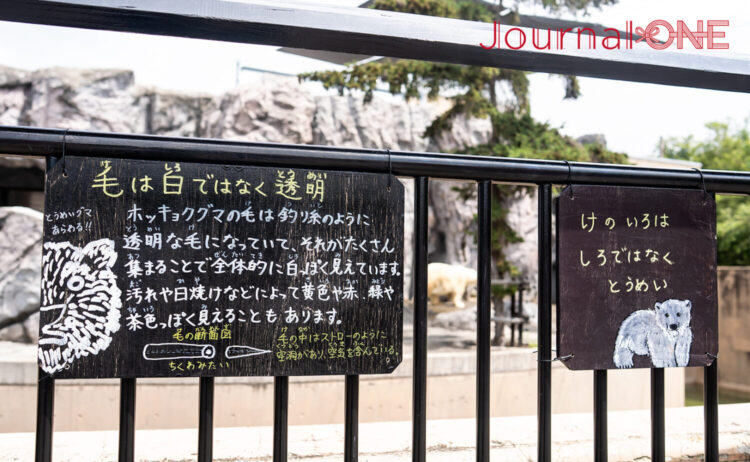 解説を読むとよりどの動物に興味が湧く-Journal-ONE撮影
