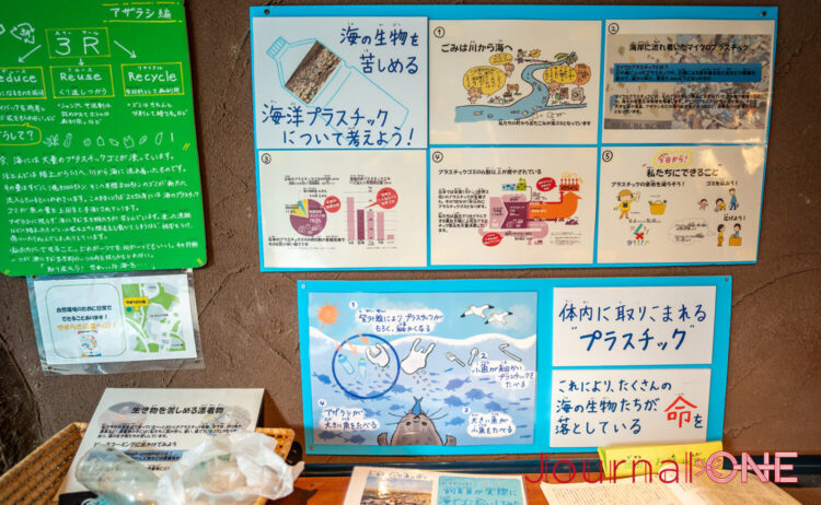 旭山動物園では海洋プラスチックごみ問題の啓発も-Journal-ONE撮影