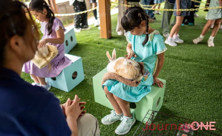 旭山動物園 行動展示の原点は小動物とのふれ合いだ-Journal-ONE撮影