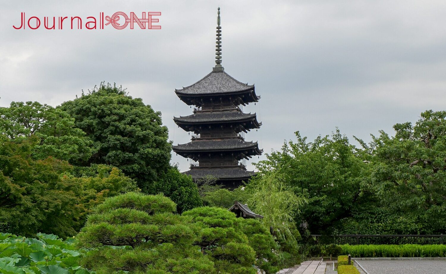 京都府京都市南区に位置する世界遺産「東寺（教王護国寺）」の国宝である「五重塔」の全景。青々とした松や楓などの庭園の木々に包まれるように五重塔が聳え立ち、先端の相輪が曇り空に向かって伸びている。