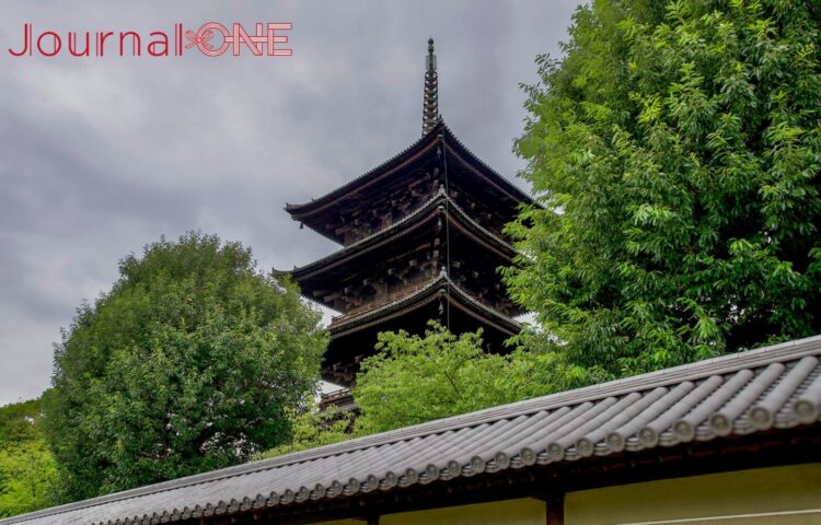 京都府京都市南区に位置する世界遺産「東寺（教王護国寺）」の国宝「五重塔」を塀越しに仰ぎ見る景観。