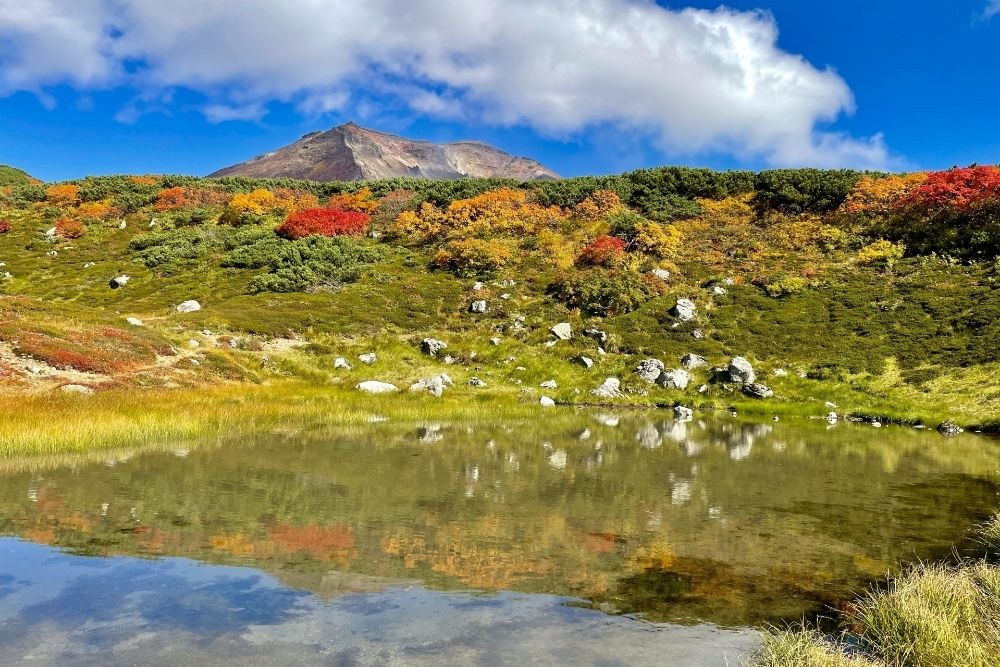 旭岳の紅葉が見頃を迎える時期