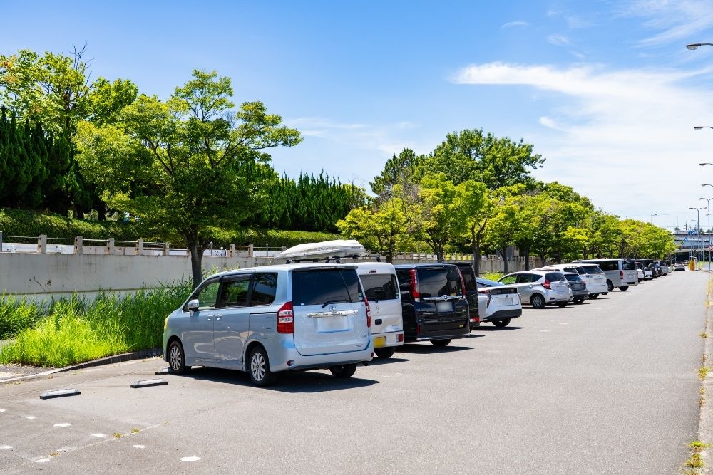 旭山動物園 駐車場と混雑を避ける到着時間