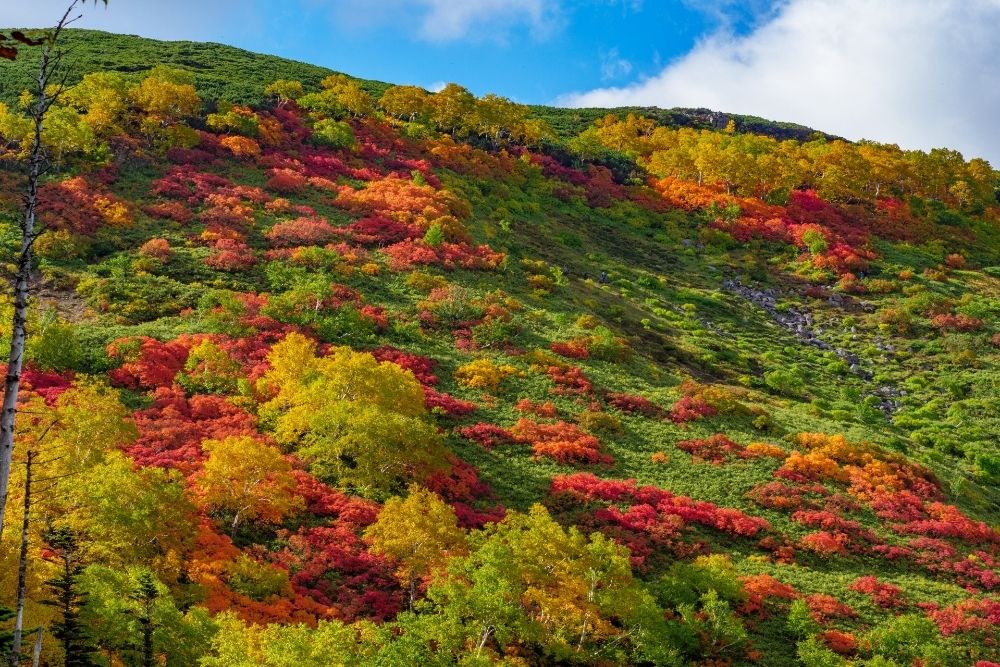 層雲峡の紅葉