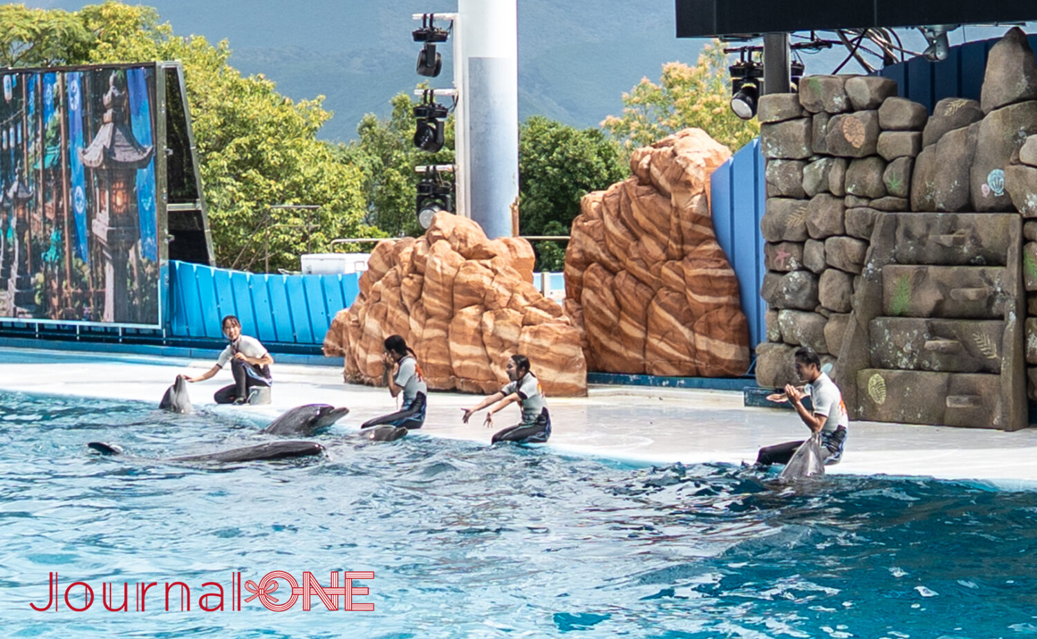 南紀白浜アドベンチャーワールド｜動物と出会う人気テーマパーク