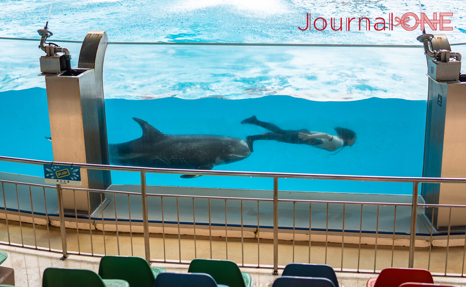 南紀白浜アドベンチャーワールド｜動物と出会う人気テーマパーク