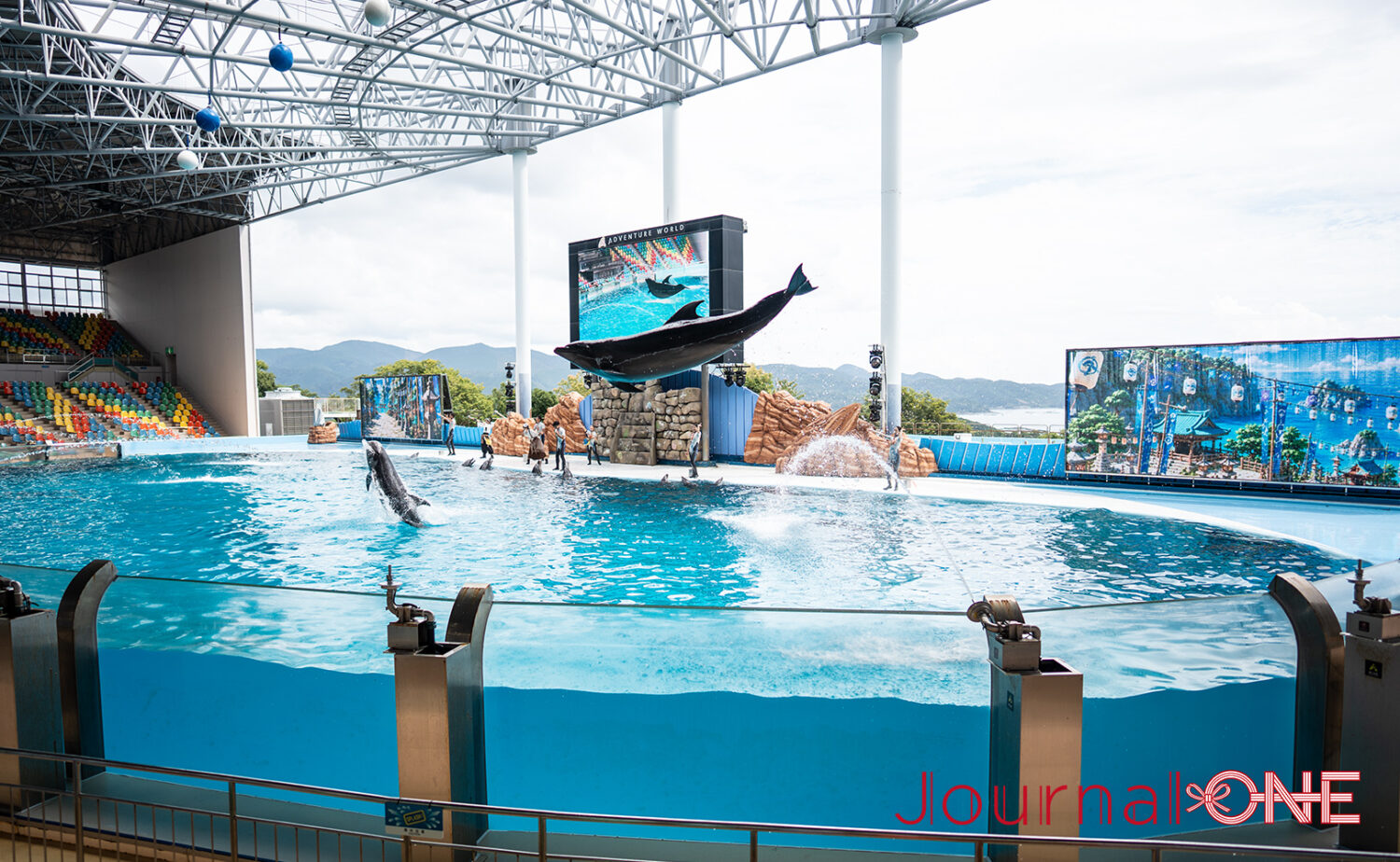 南紀白浜アドベンチャーワールド｜動物と出会う人気テーマパーク