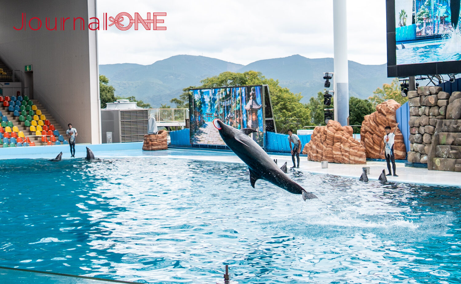 南紀白浜アドベンチャーワールド｜動物と出会う人気テーマパーク