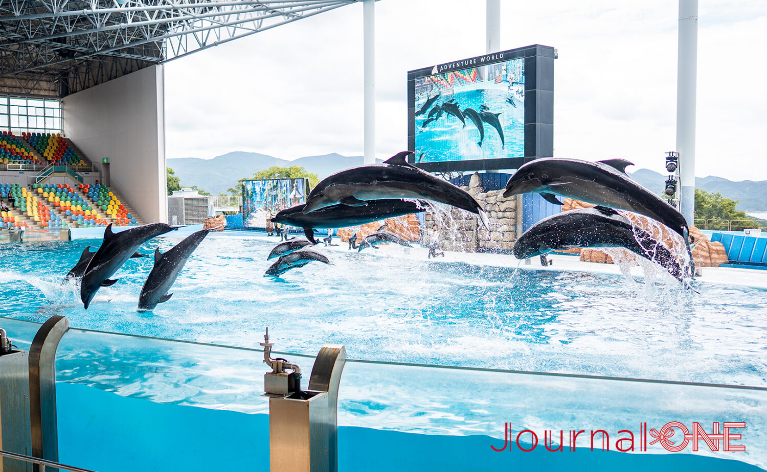 南紀白浜アドベンチャーワールド｜動物と出会う人気テーマパーク