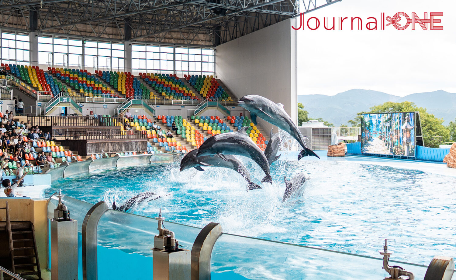 南紀白浜アドベンチャーワールド｜動物と出会う人気テーマパーク