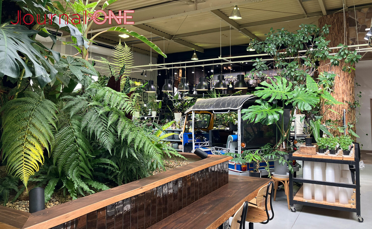 ボタニカルガーデン オズマン｜掛川で珍奇植物とカフェを満喫
