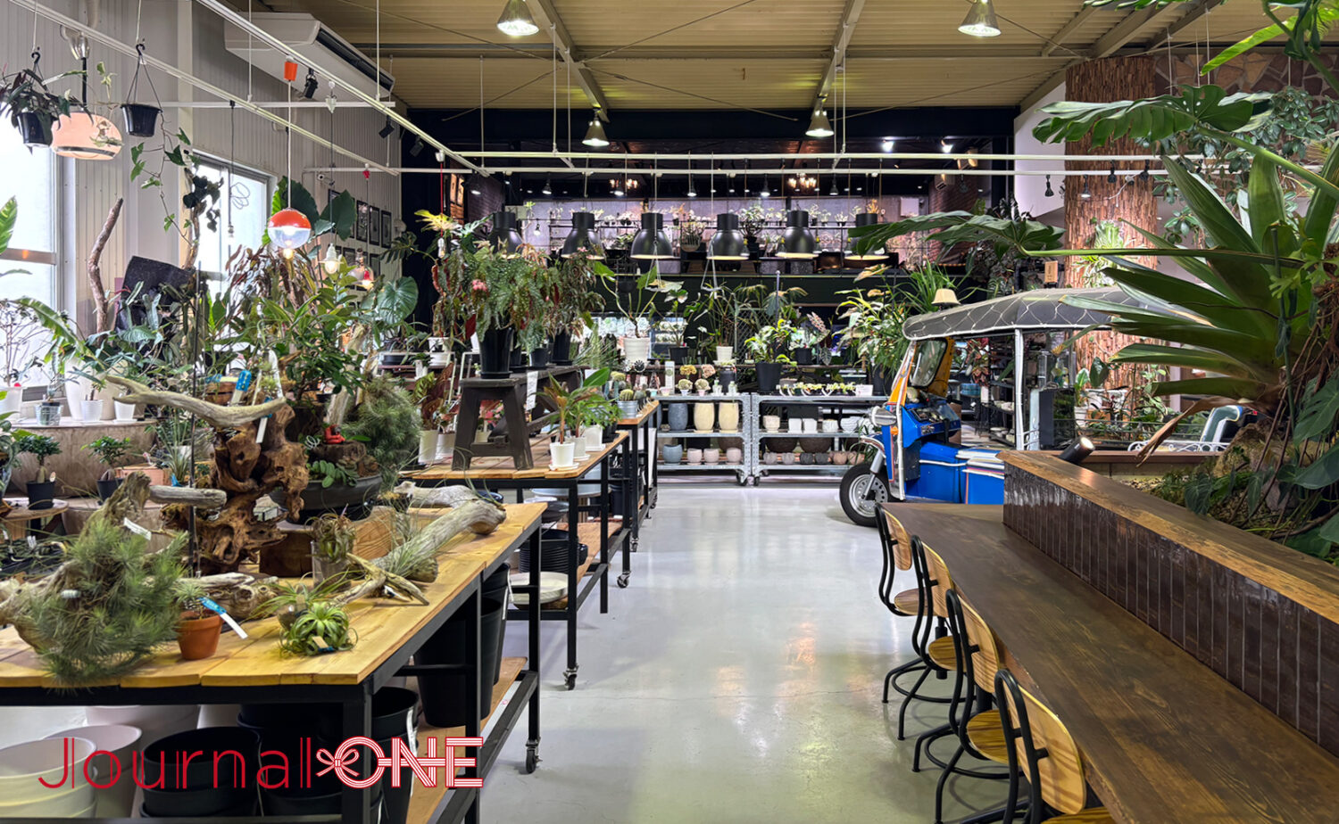 ボタニカルガーデン オズマン｜掛川で珍奇植物とカフェを満喫