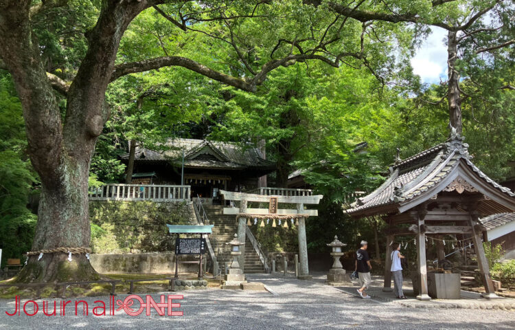 静岡・事任八幡宮