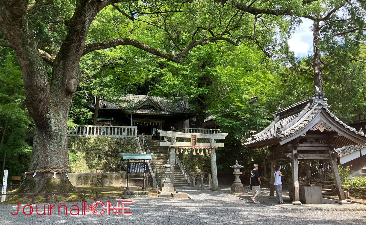 静岡・事任八幡宮｜願いが叶う遠江国一宮の魅力