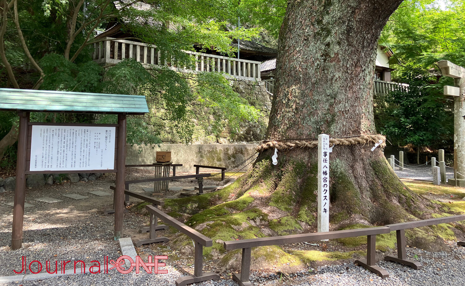 静岡・事任八幡宮｜願いが叶う遠江国一宮の魅力