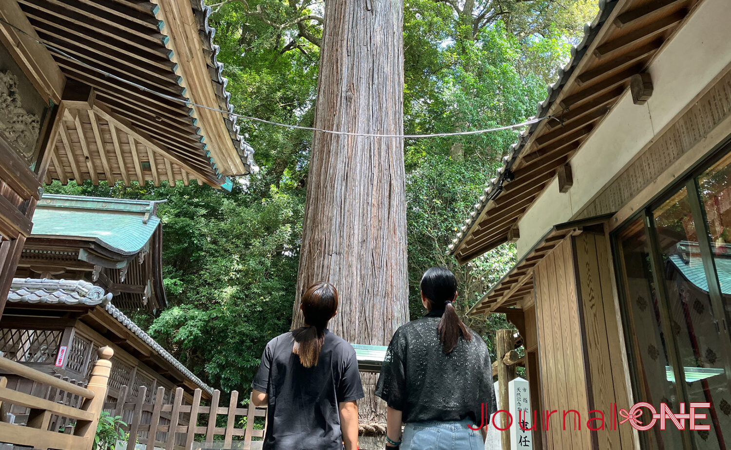 静岡・事任八幡宮｜願いが叶う遠江国一宮の魅力