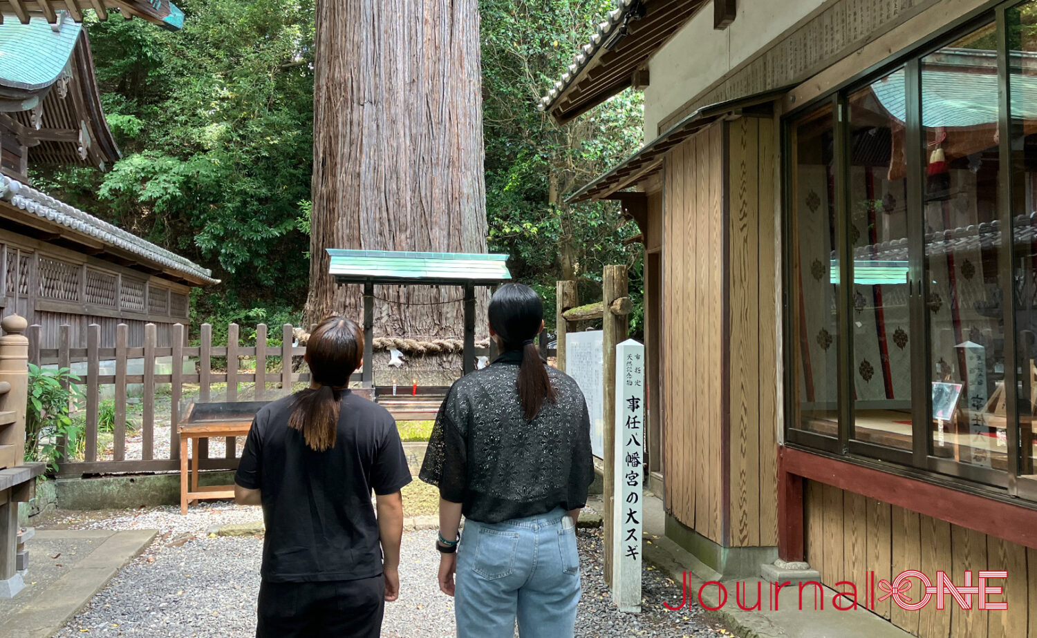 静岡・事任八幡宮｜願いが叶う遠江国一宮の魅力