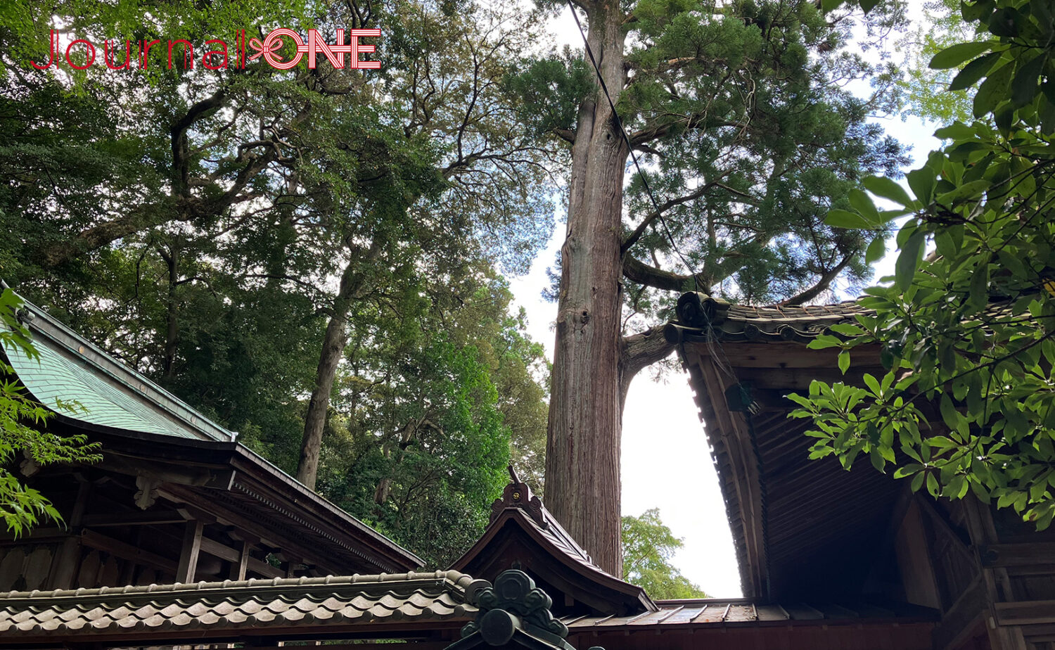 静岡・事任八幡宮｜願いが叶う遠江国一宮の魅力