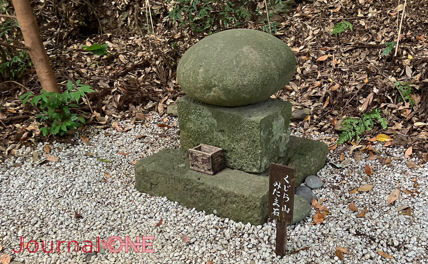 静岡・事任八幡宮｜願いが叶う遠江国一宮の魅力