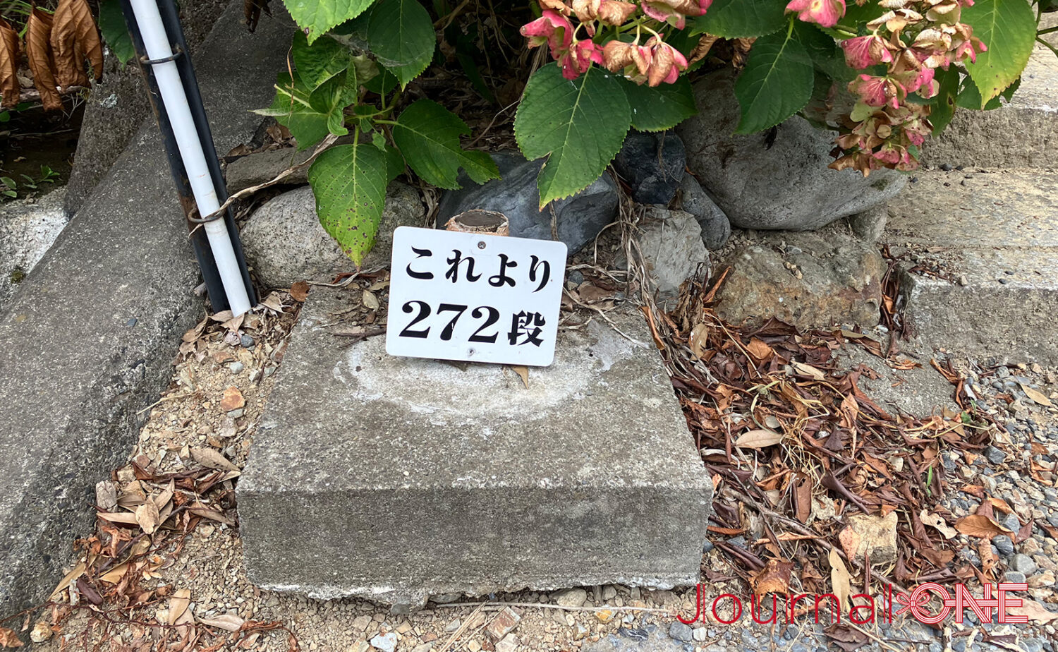 静岡・事任八幡宮｜願いが叶う遠江国一宮の魅力
