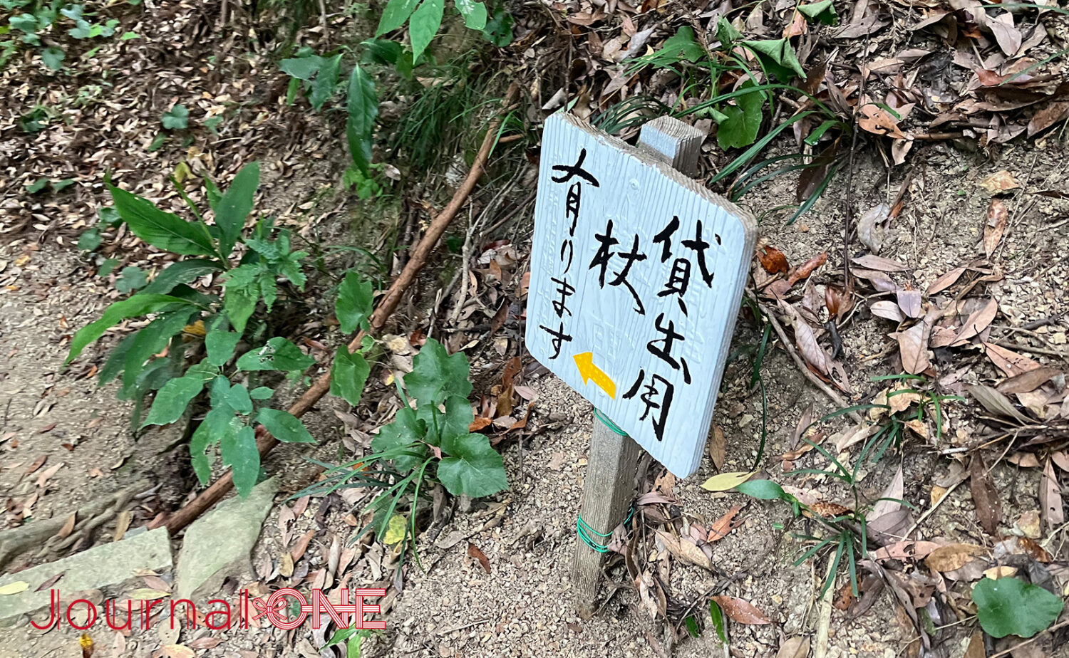 静岡・事任八幡宮｜願いが叶う遠江国一宮の魅力