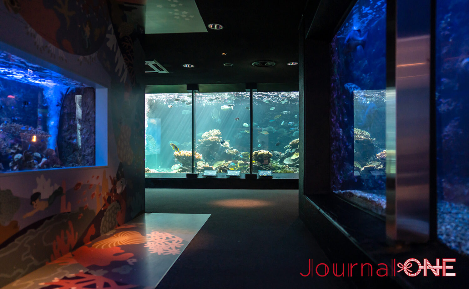 串本海中公園｜海中展望塔と水族館で黒潮の海を満喫