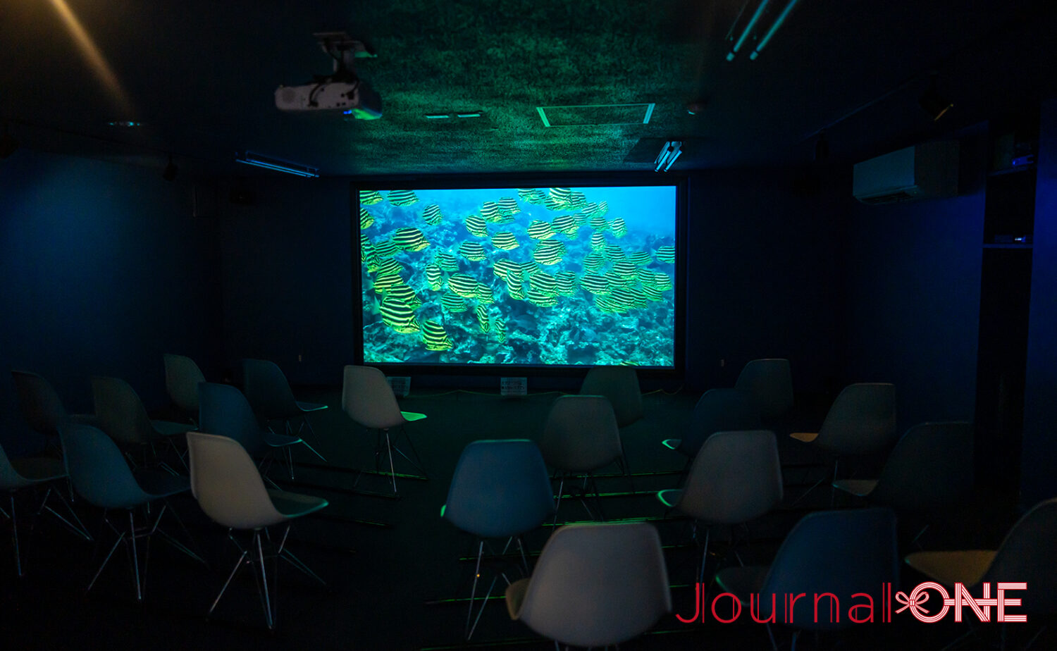 串本海中公園｜海中展望塔と水族館で黒潮の海を満喫