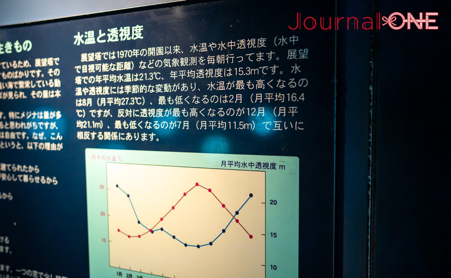 串本海中公園｜海中展望塔と水族館で黒潮の海を満喫