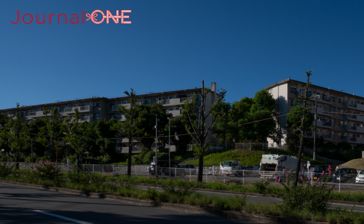 銀杏通り沿いに並ぶ千里ニュータウンの団地群。丘陵地に整然と住宅が建ち並ぶ。