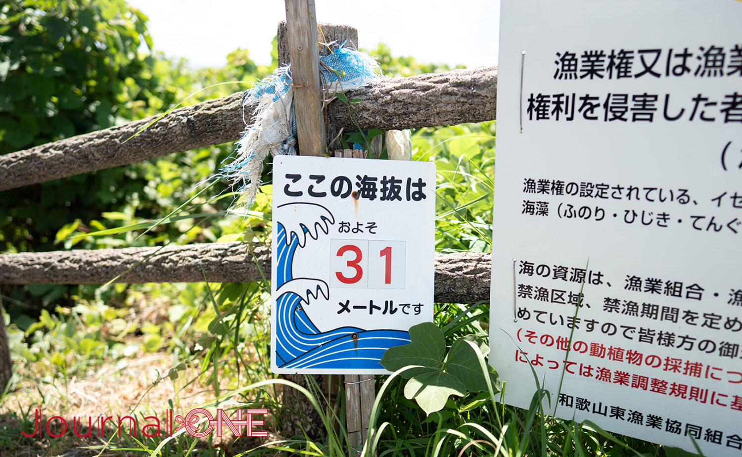 本州最南端・潮岬｜望楼の芝と太平洋の大パノラマ