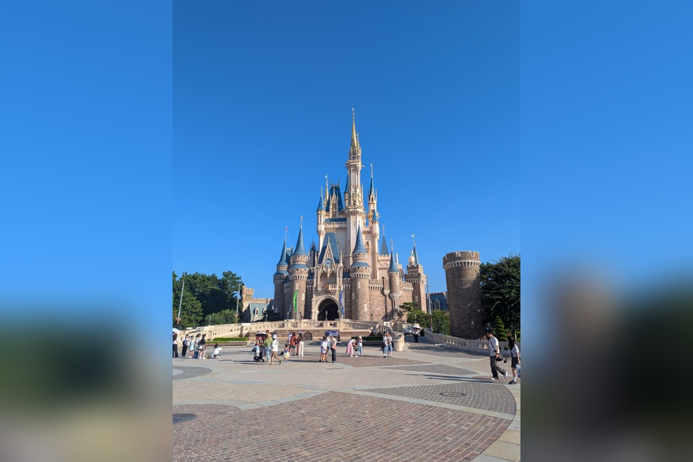 東京ディズニーランドのチケット