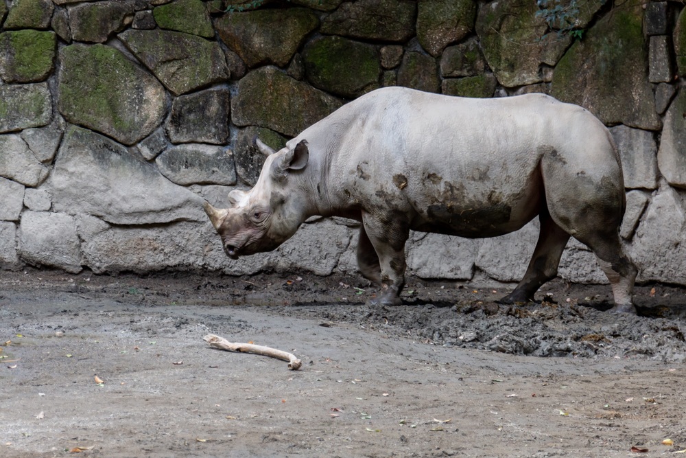 上野動物園の周辺スポット
