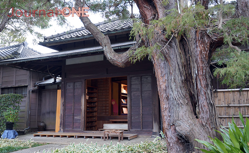 A Tokugawa Taste, A Tokugawa Temple